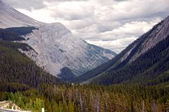 14-S Cirrus Mountain In Summer From Near Big Bend On Icefields Parkway.jpg